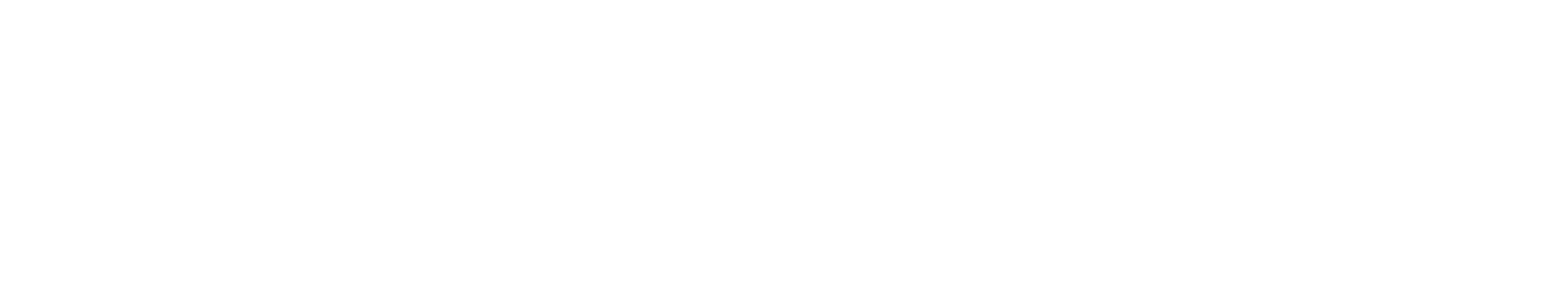 FleetSafe